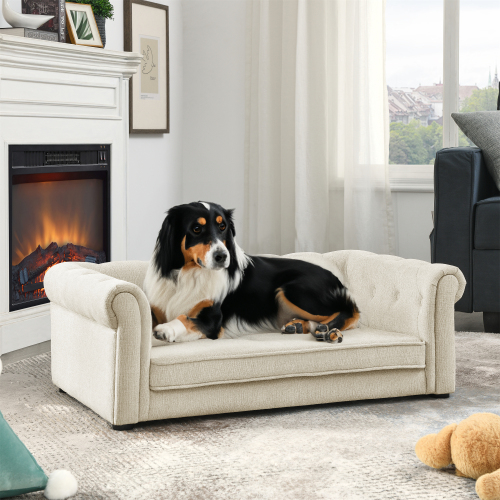 Luxury dog sofa bed with washable cover – black dog relaxing on stylish elevated pet couch