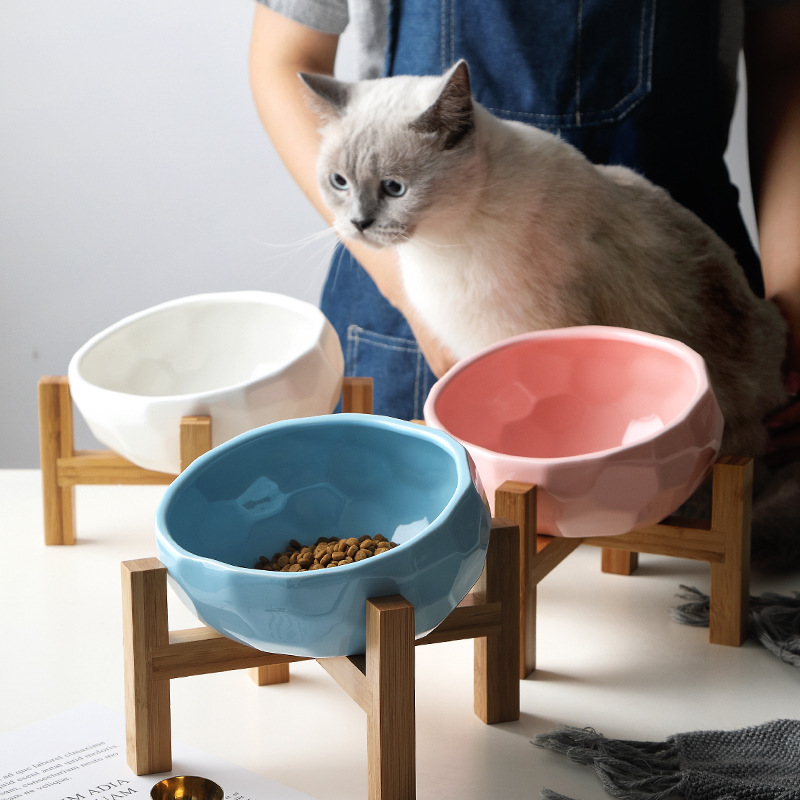 Pet Food and Water Bowls for Cats and Dogs – Elevated Ceramic Design