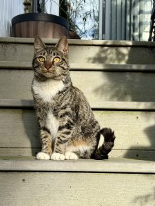 IMG_6726