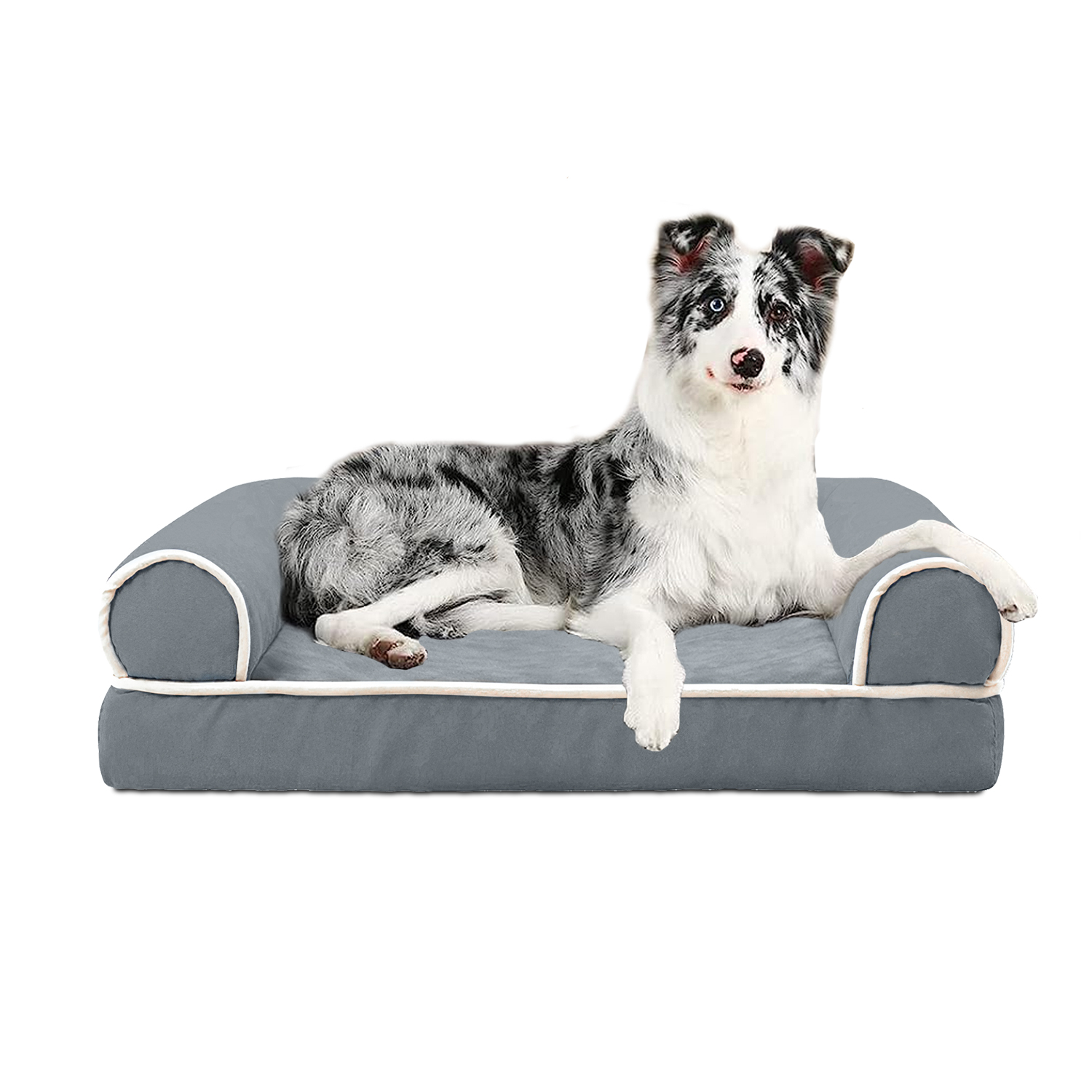Black and white dog laying on a modern gray upholstered dog sofa bed with raised sides – luxury pet furniture for medium and large dogs Gray orthopedic dog sofa bed with plush fabric, bolsters, and anti-slip base