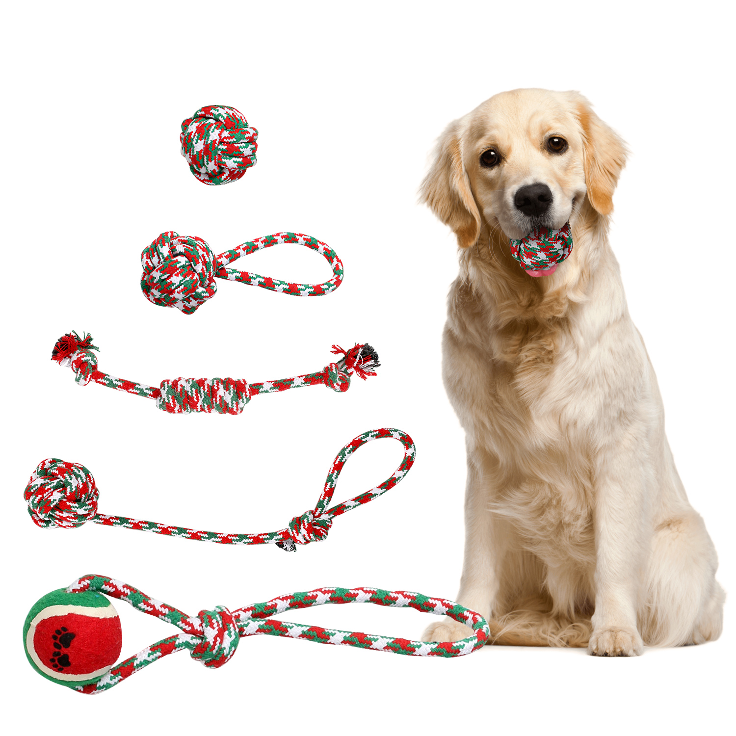 5-pack Christmas rope chew toys with ball for dogs—red, green & white cotton set pictured with golden retriever.