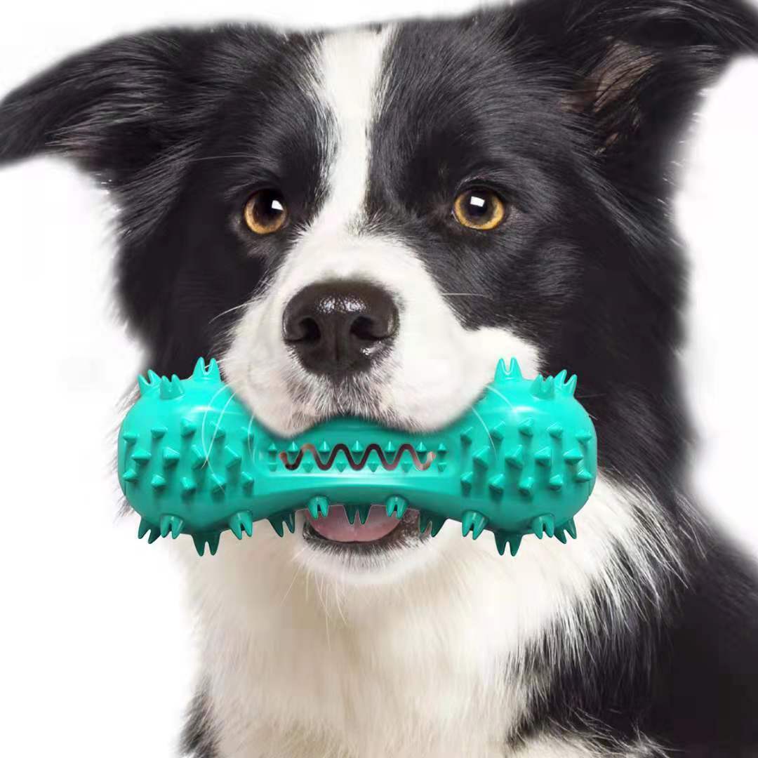 Blue rubber dog toothbrush chew toy for aggressive chewers, shown in a dog’s mouth