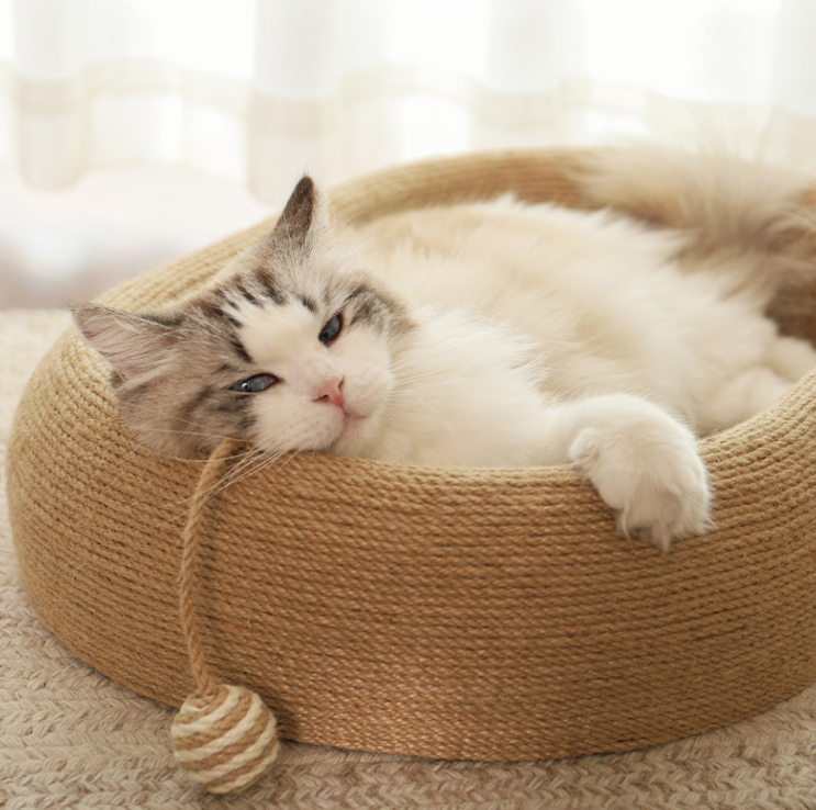 Fluffy cat lounging peacefully in a round wicker bed with a white blanket Bowl-shaped cat scratcher lounge with sisal pad and toy ball for indoor cats