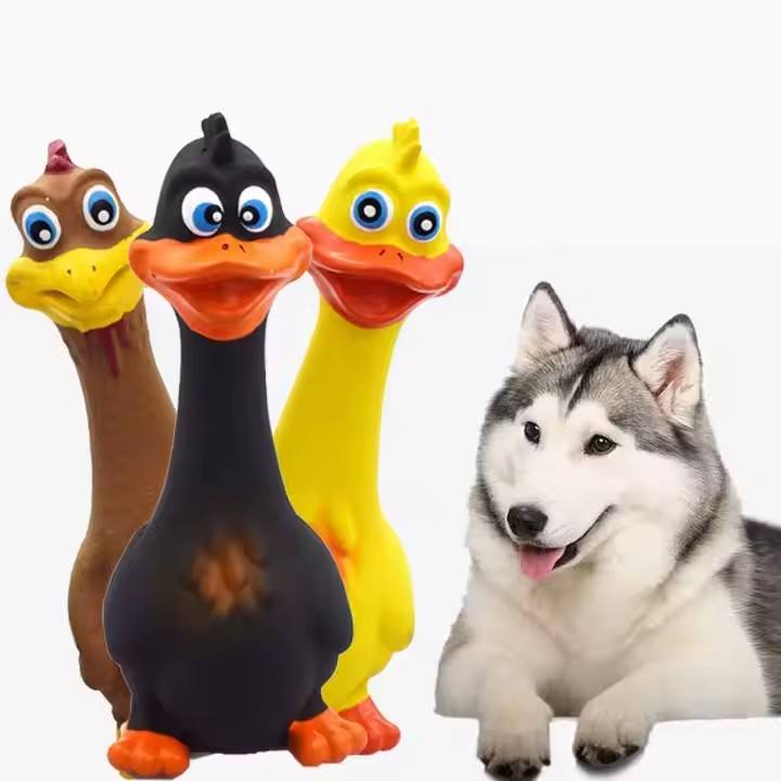3-pack squeaky chicken dog toys beside a husky — durable latex/TPR chew toys for medium & large dogs