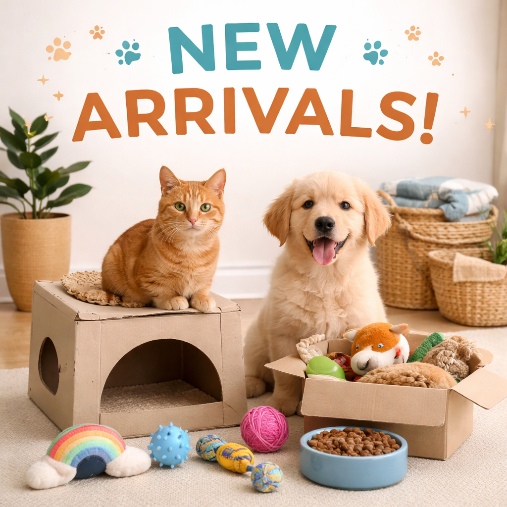 Cat and dog sitting with new pet toy arrivals in a cozy home setting {{brizy_dc_image_alt imageSrc=