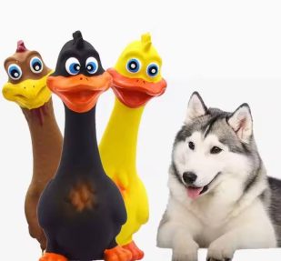 Two squeaky chicken dog toys in yellow and black with husky dog – durable chew toys for interactive play and anxiety relief