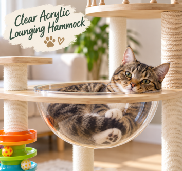 Tabby cat relaxing in a clear acrylic hammock on a modern cat tree