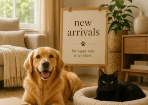 Golden retriever and black cat surrounded by new pet arrivals
