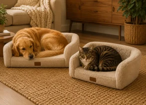 Golden retriever and tabby cat relaxing in modern cream pet beds