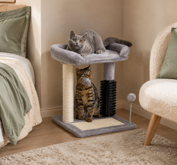 Small gray 4-in-1 cat tree for kittens in a cozy bedroom