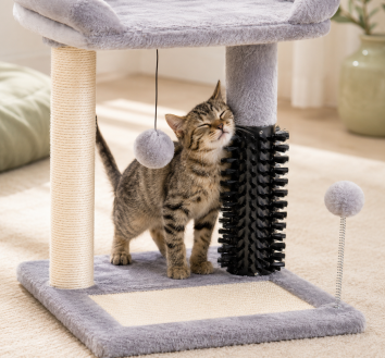 Kitten using the grooming brush on a small 4-in-1 cat tree